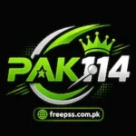 Pak114 Game