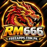 RM 666 Game